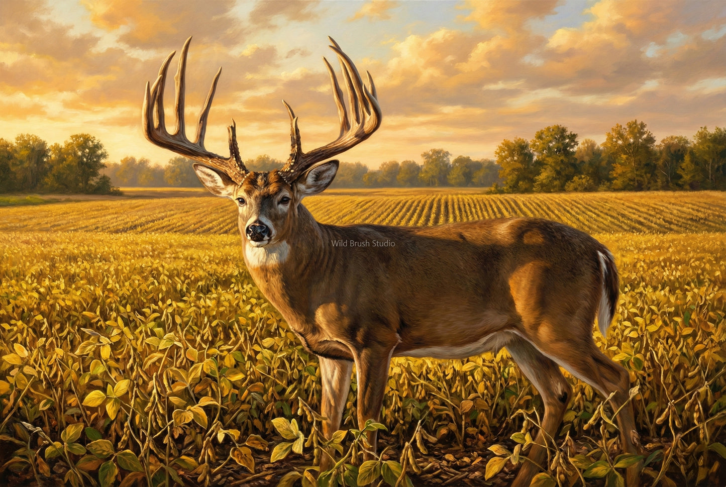 The Mel Johnson Buck