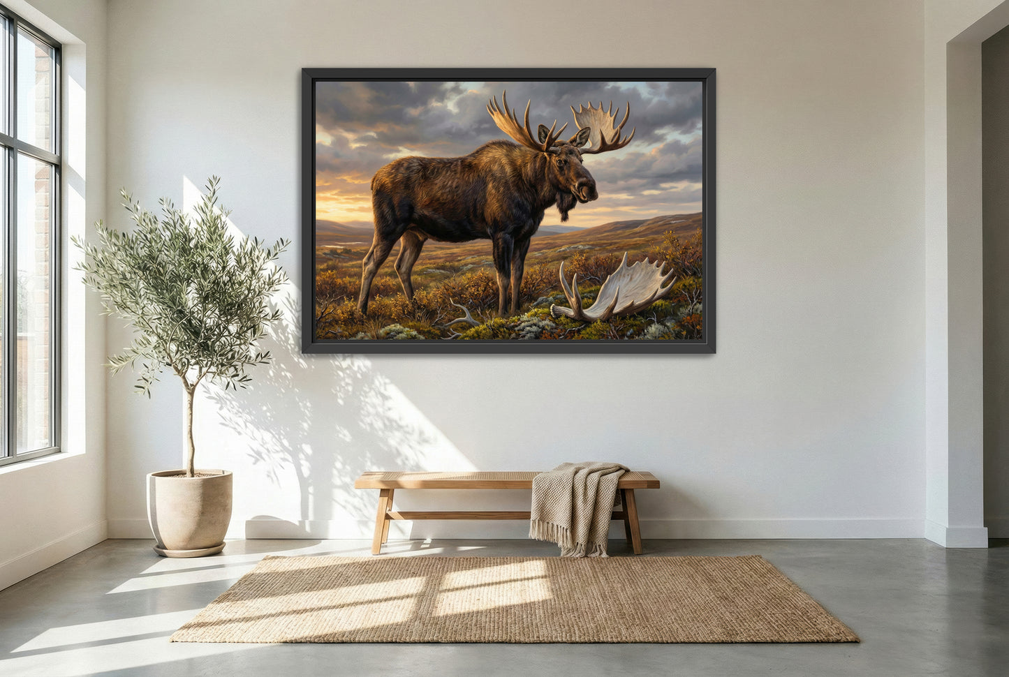 black floating framed canvas print featuring an alaskan moose in the tundra