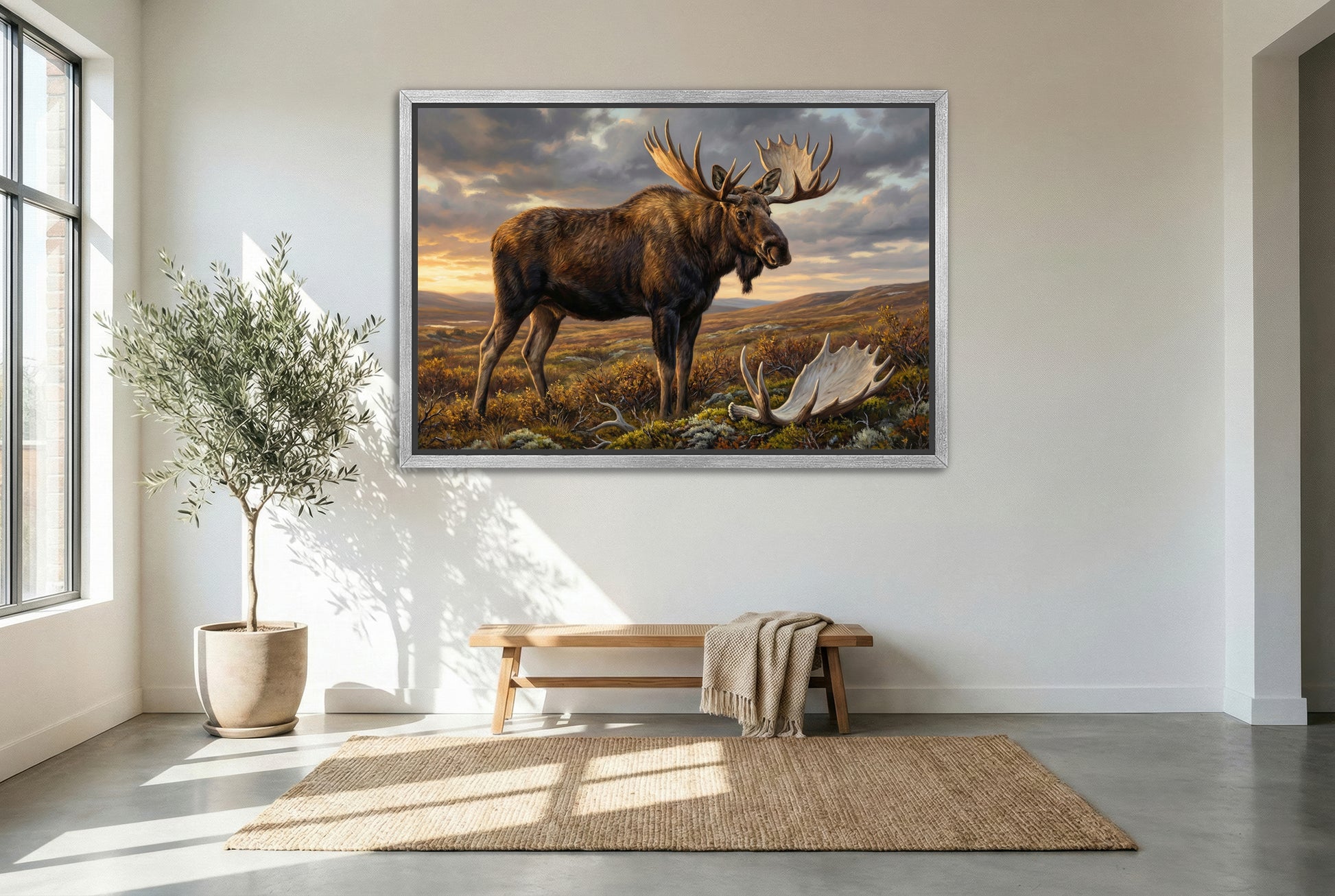 silver floating framed canvas big game artwork of an alaskan moose in the tundra