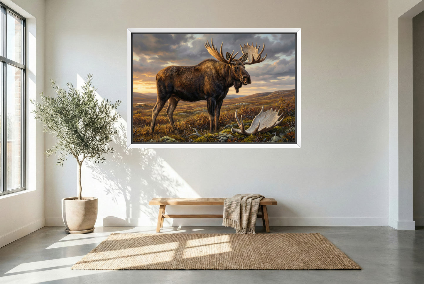 white floating framed canvas art of an alaskan moose in the tundra for modern hunting home decor