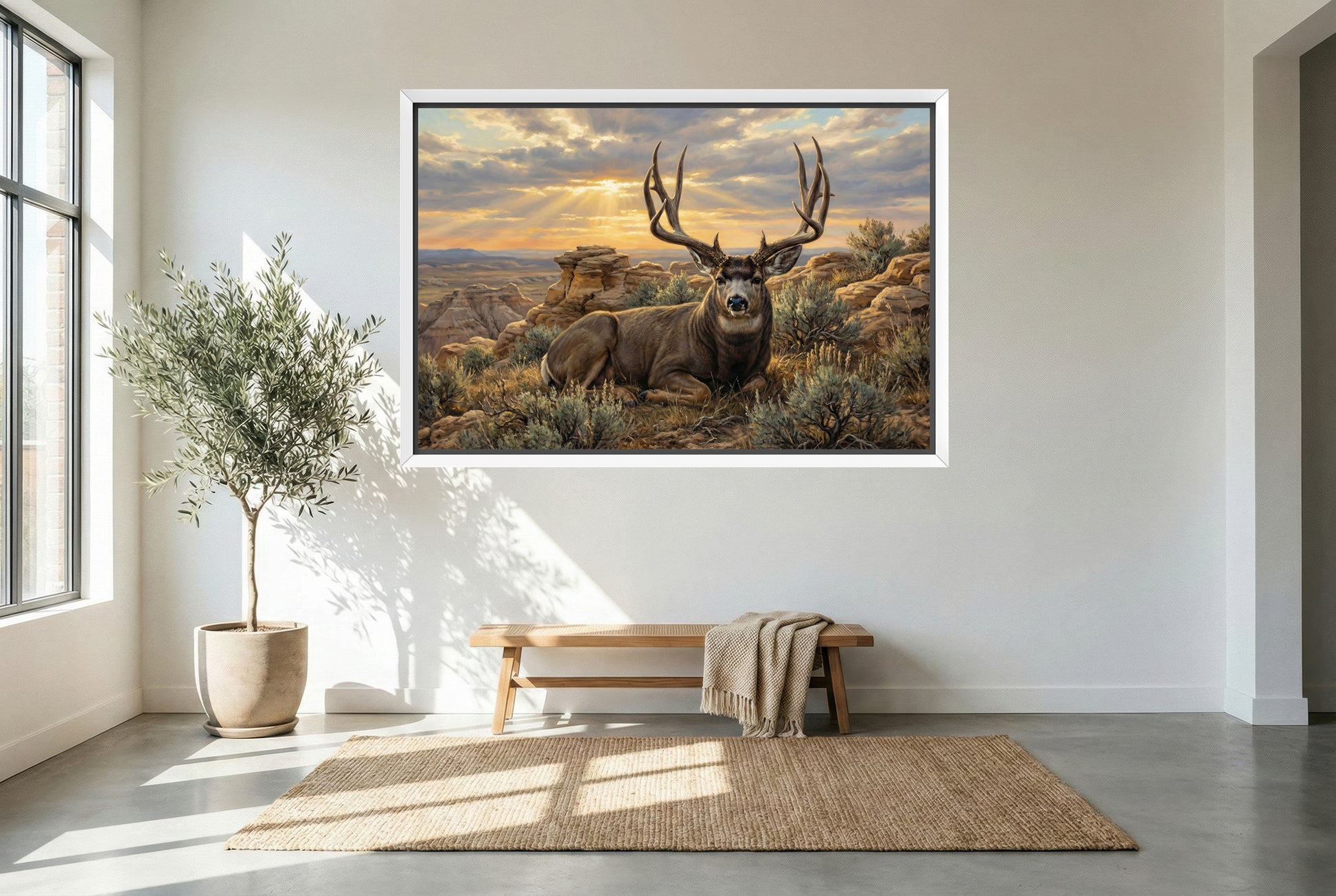 white floating framed canvas art of a badlands mule deer bedded on a rimrock ledge