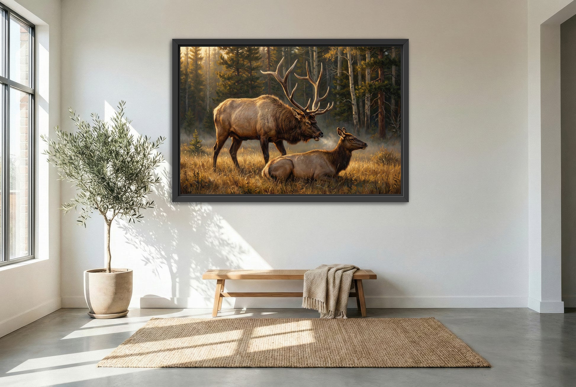 black floating framed canvas print featuring a big bull elk keeping a watchful eye on his cow rut behavior