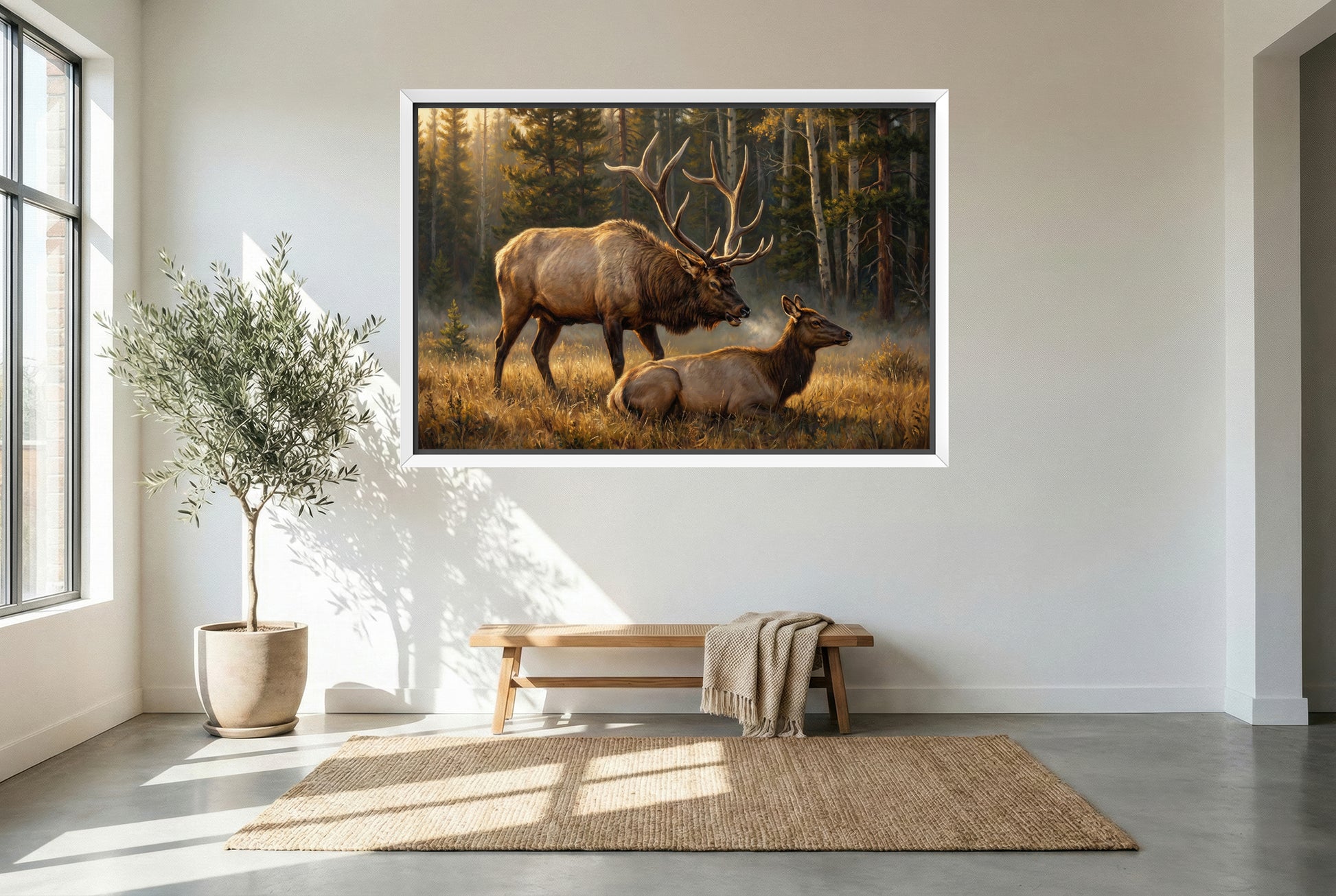 white floating framed canvas art of a big bull elk keeping a watchful eye on his cow rut behavior