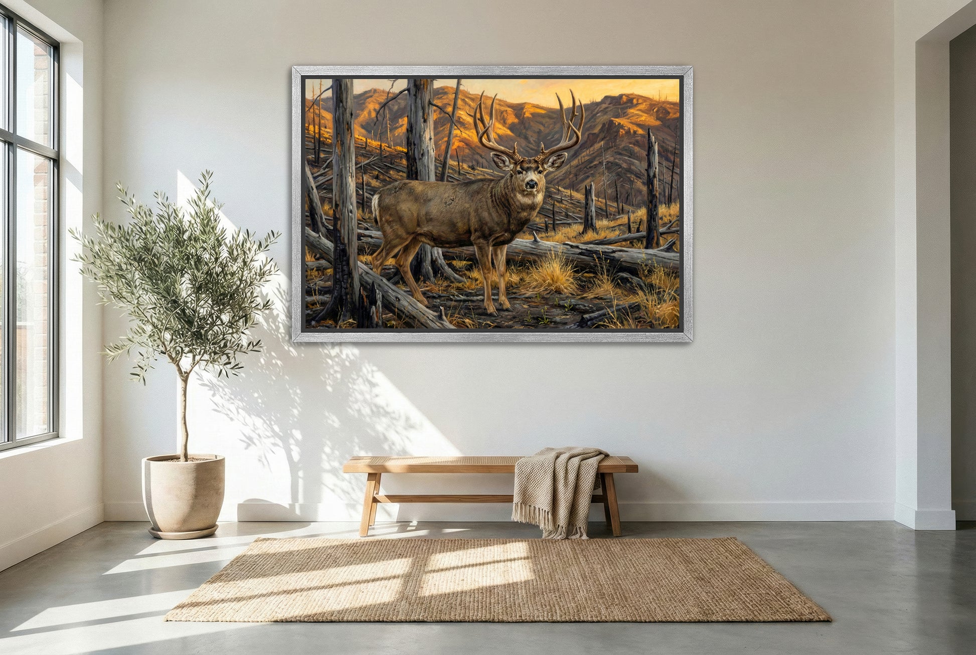 silver floating framed canvas big game artwork of a big cheater mule deer buck in the burn scar