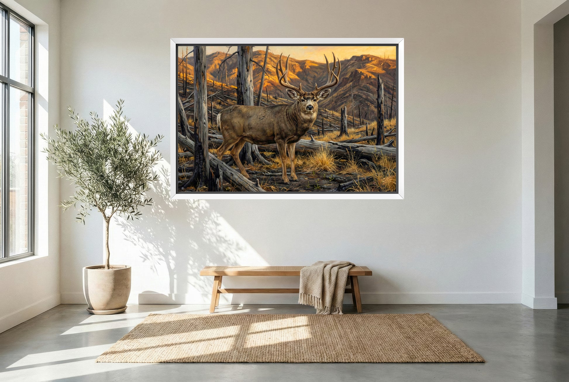 white floating framed canvas art of a big cheater mule deer buck in the burn scar
