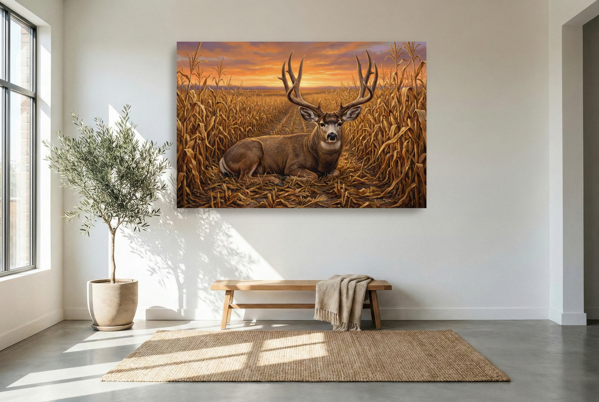 gallery wrapped canvas wildlife wall art of a big mule deer buck bedded in the corn field