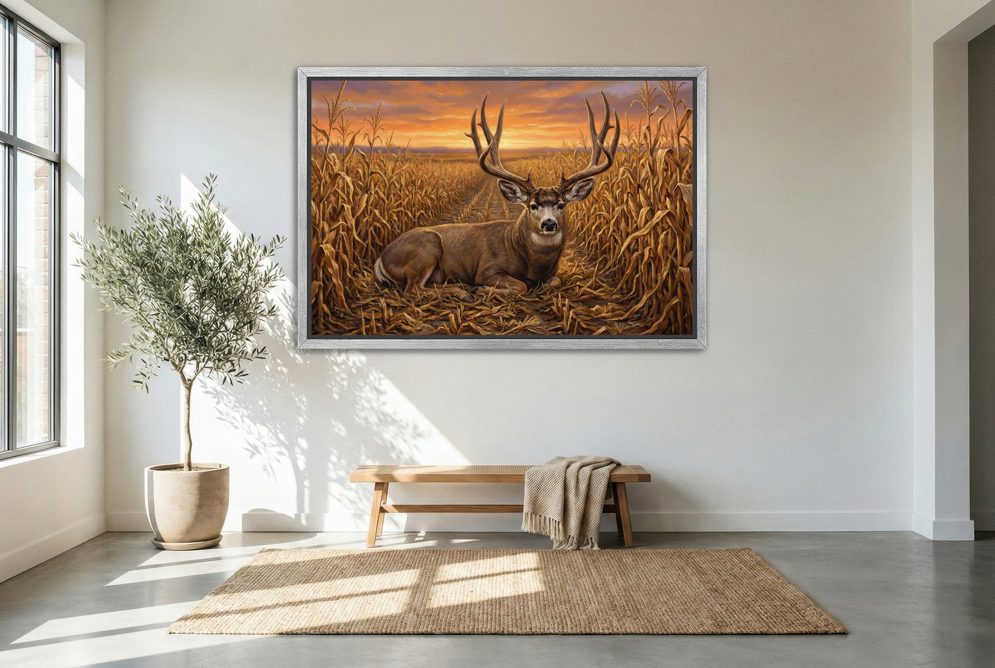 silver floating framed canvas big game artwork of a a big mule deer buck bedded in the corn field