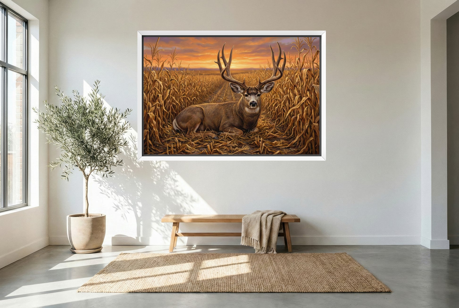 white floating framed canvas art of a a big mule deer buck bedded in the corn field