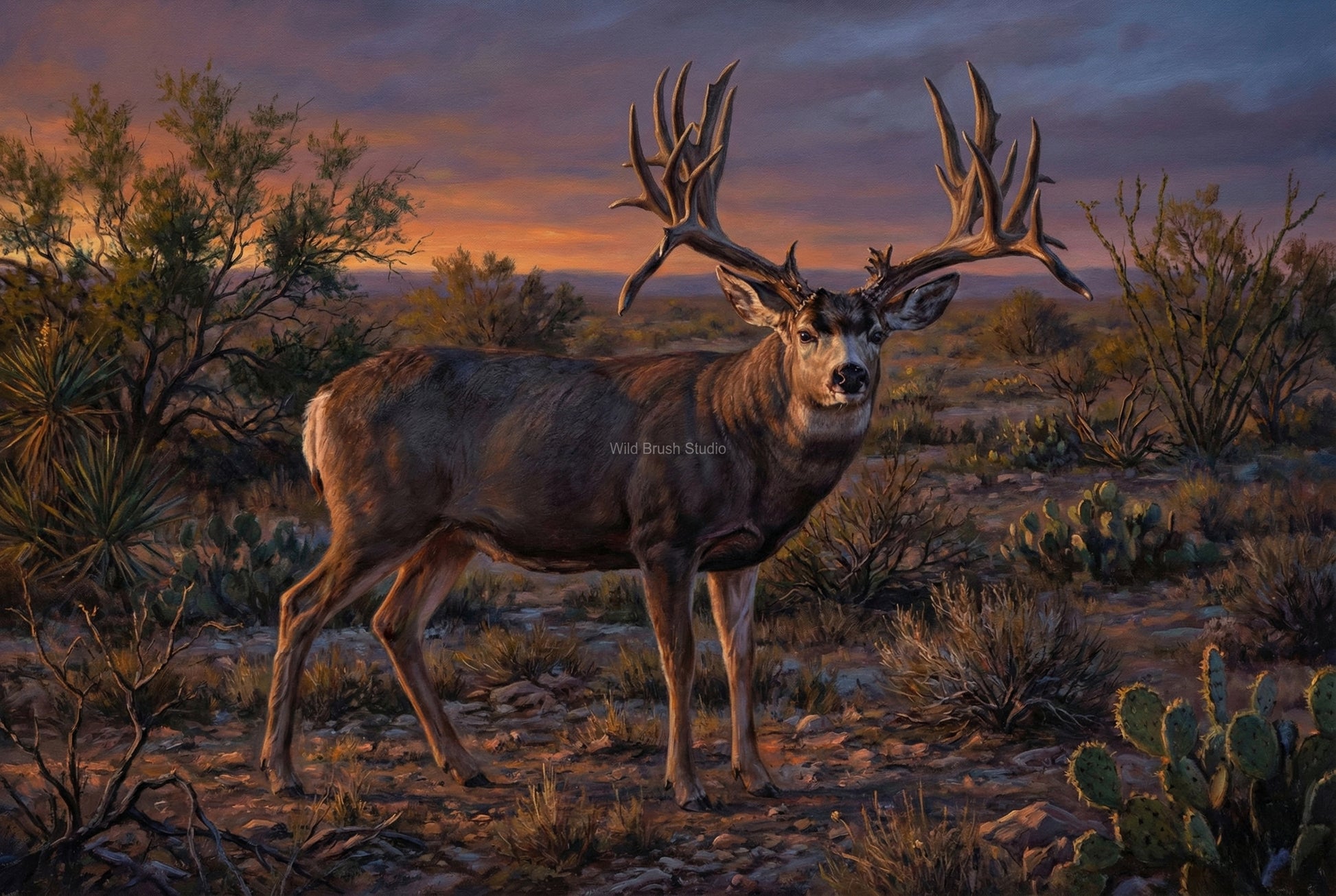 Boss Buck Hank Texas state record mule deer oil painting art print on archival paper