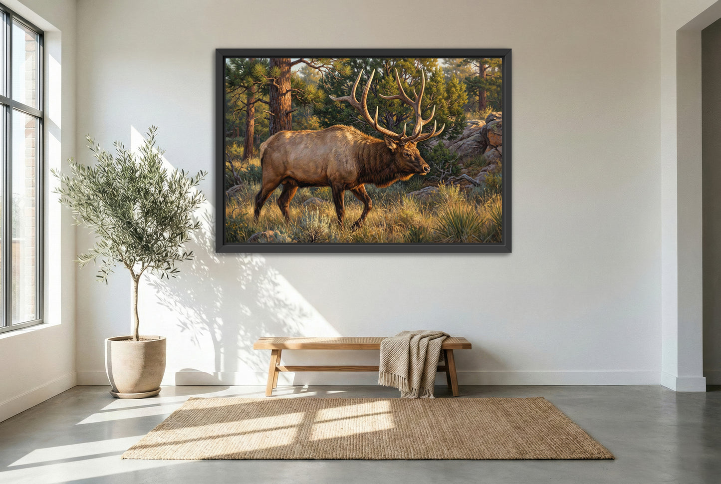 black floating framed canvas print featuring a bull elk on the move in the dark timber rut