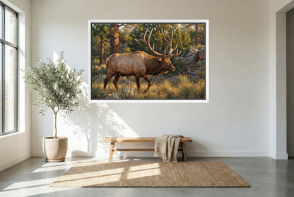 white floating framed canvas art of a bull elk on the move in the dark timber rut