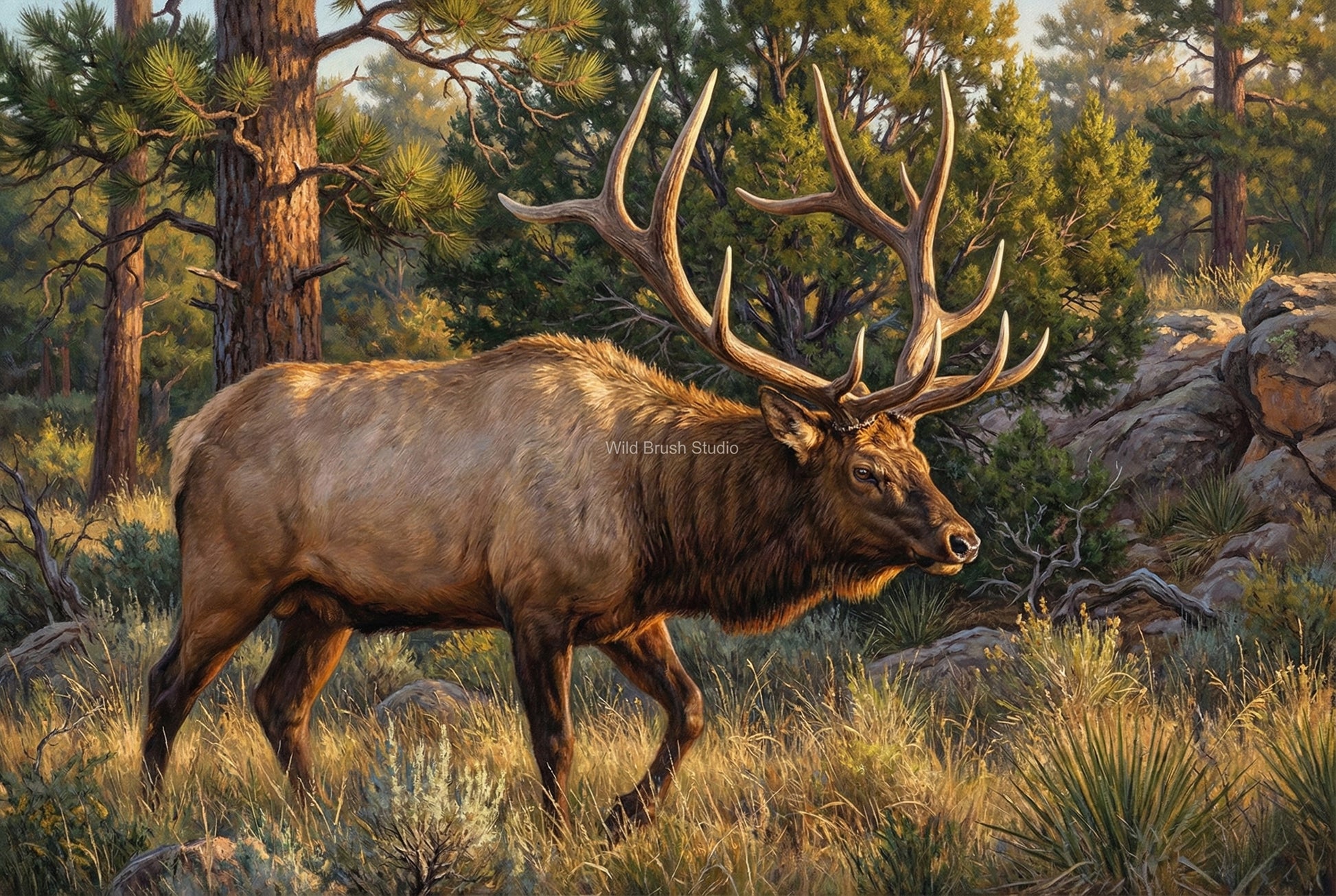 bull elk on the move in the dark timber rut oil painting paper art print
