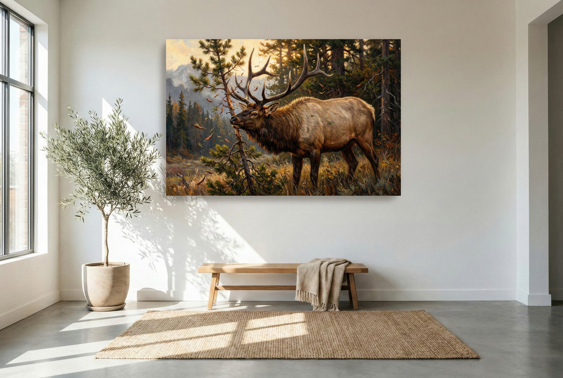 gallery wrapped canvas wildlife wall art of a bull elk keeping raking a small pinyon pine juniper tree during the rut in september 
