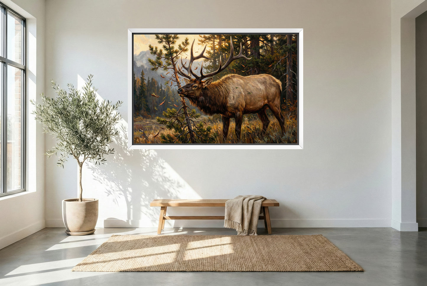 white floating framed canvas art of a bull elk keeping raking a small pinyon pine juniper tree during the rut in september