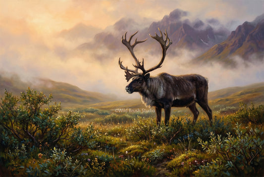 caribou bull alaskan tundra canvas oil painting paper art print
