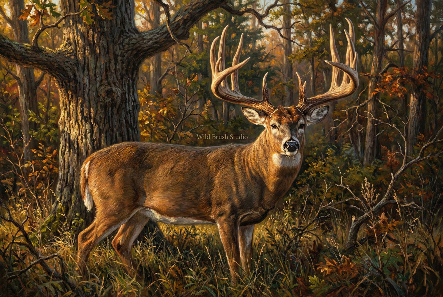 dustin huff whitetail buck Indiana oil painting paper art print
