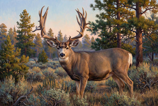 The Dyno Buck legendary 292 inch Arizona Strip mule deer oil painting art print