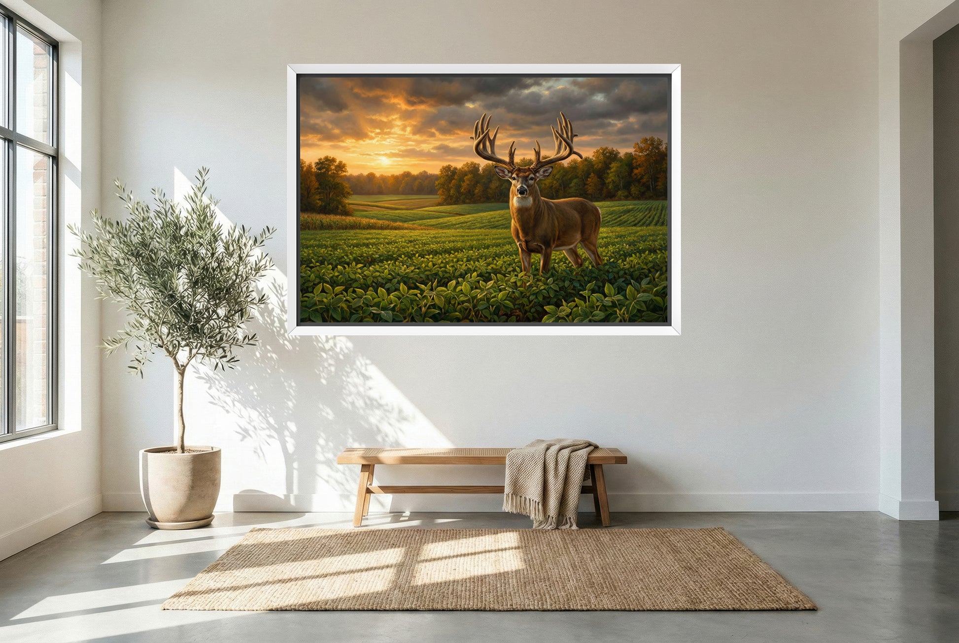 white floating framed canvas art of a early season giant whitetail buck in a bean field