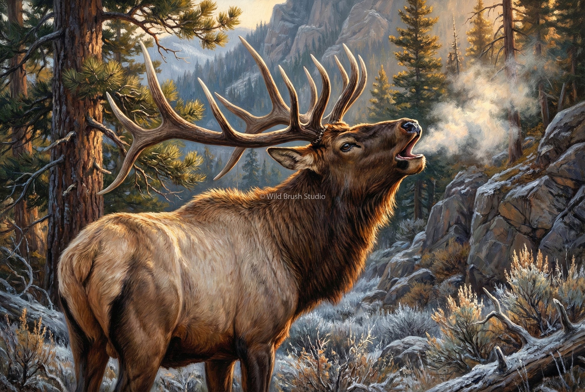 full send bull elk bugle on a cold frosty morning oil painting paper art print