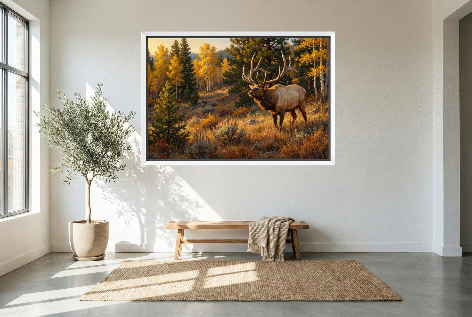 white floating framed canvas art of a giant bull elk stepping out onto a golden aspen hillside during September rut