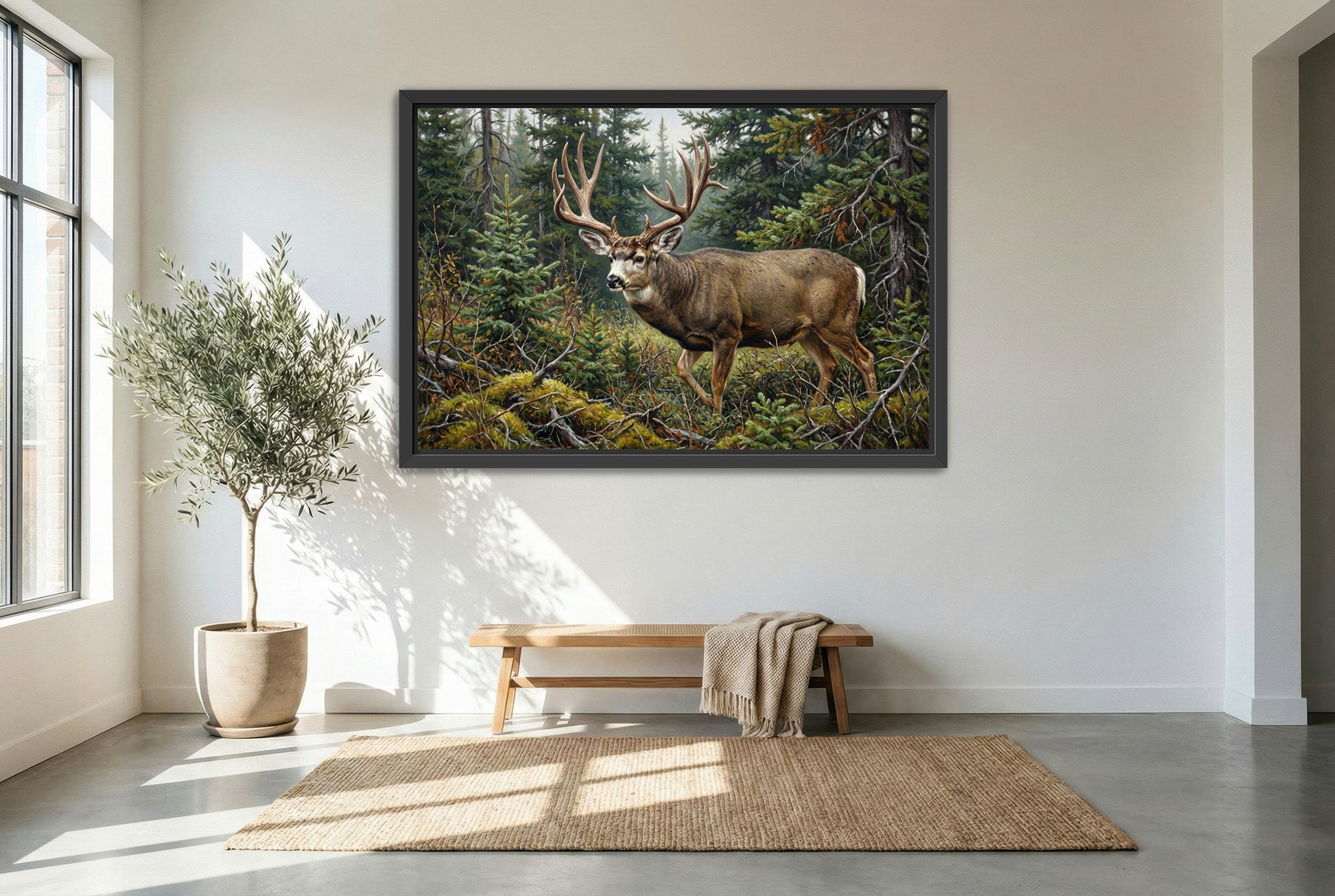 black floating framed canvas print featuring a giant mule deer buck emerges from the canadian bush