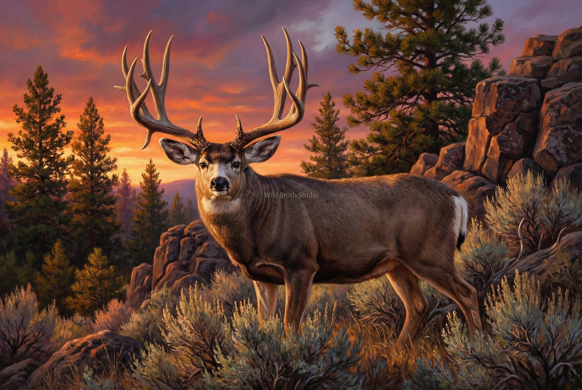 golden hour muley emerges from the rimrock oil painting paper art print
