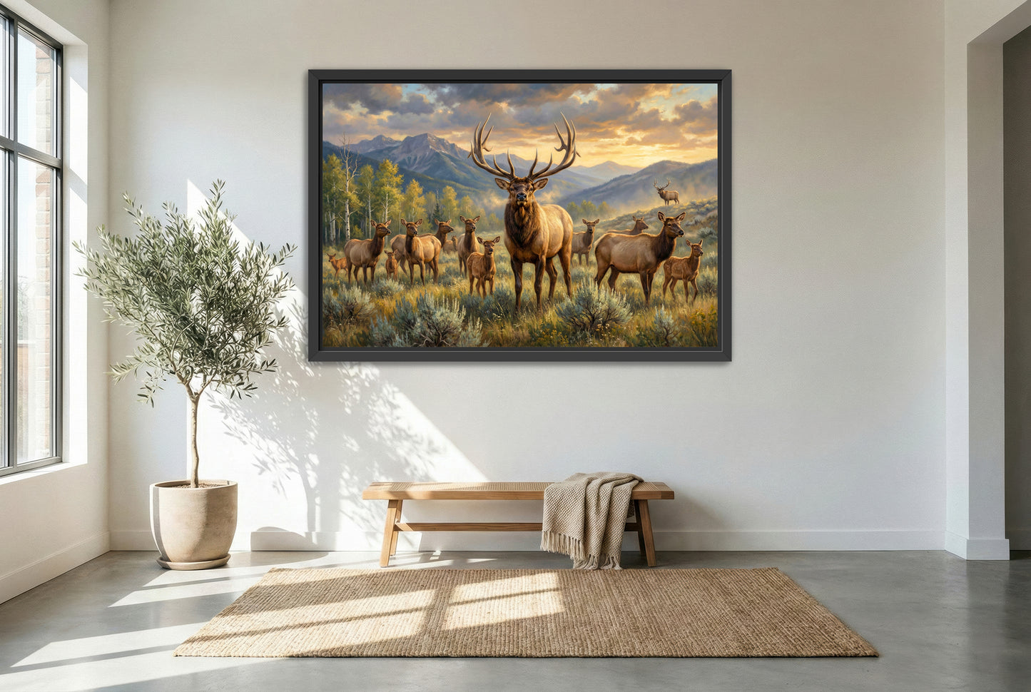 black floating framed canvas print featuring a herd bull elk keeping watch over his harem in September