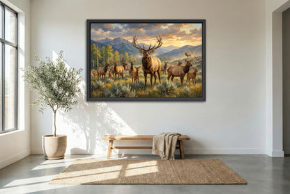 black floating framed canvas print featuring a herd bull elk keeping watch over his harem in September