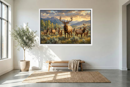 white floating framed canvas art of a herd bull elk keeping watch over his harem in September