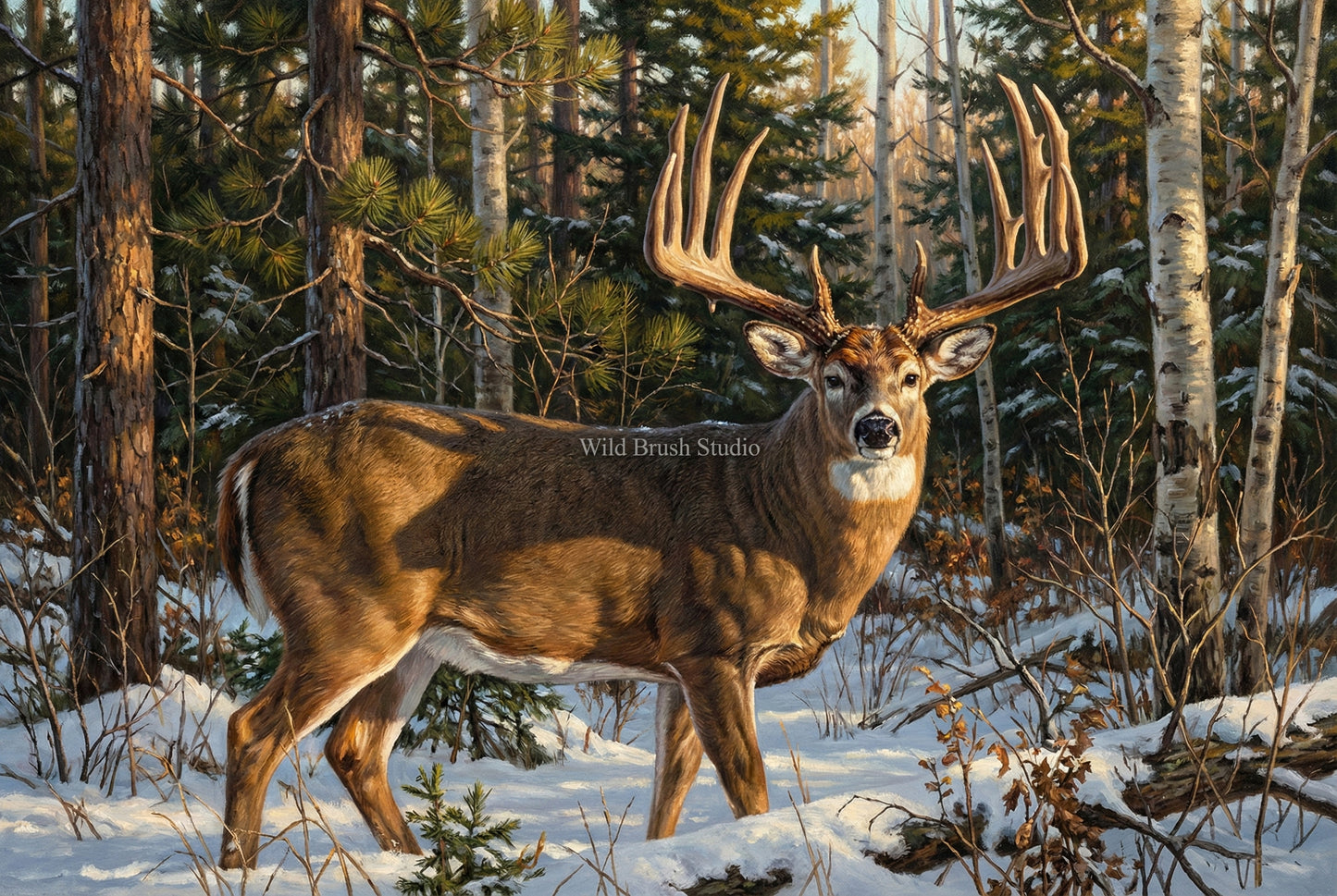 john breen whitetail buck Minnesota oil painting paper art print
