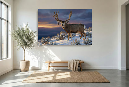 Gallery wrapped canvas wildlife wall art of the historic Wyoming King Buck mule deer