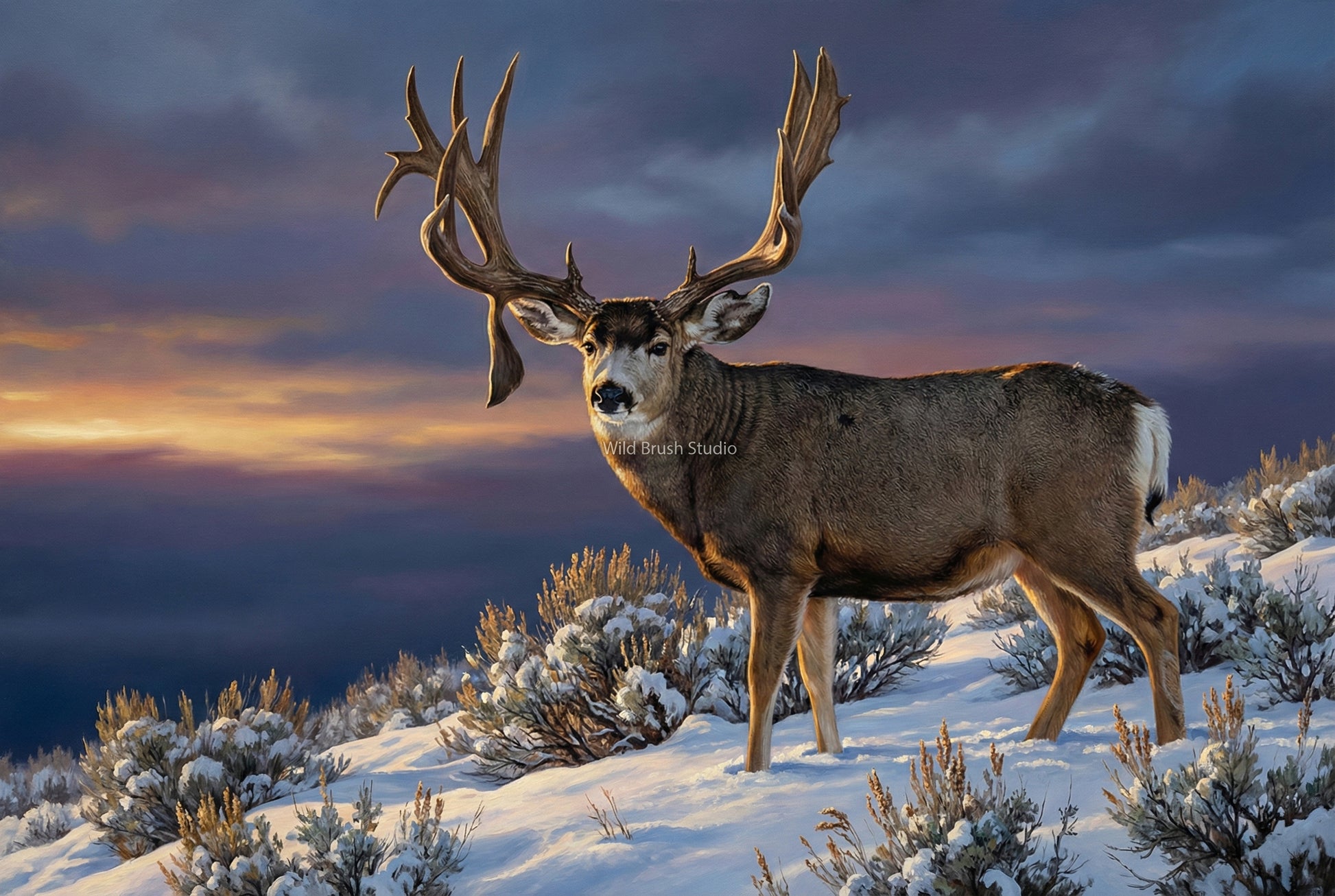 The King Buck legendary Wyoming drop tine mule deer oil painting art print