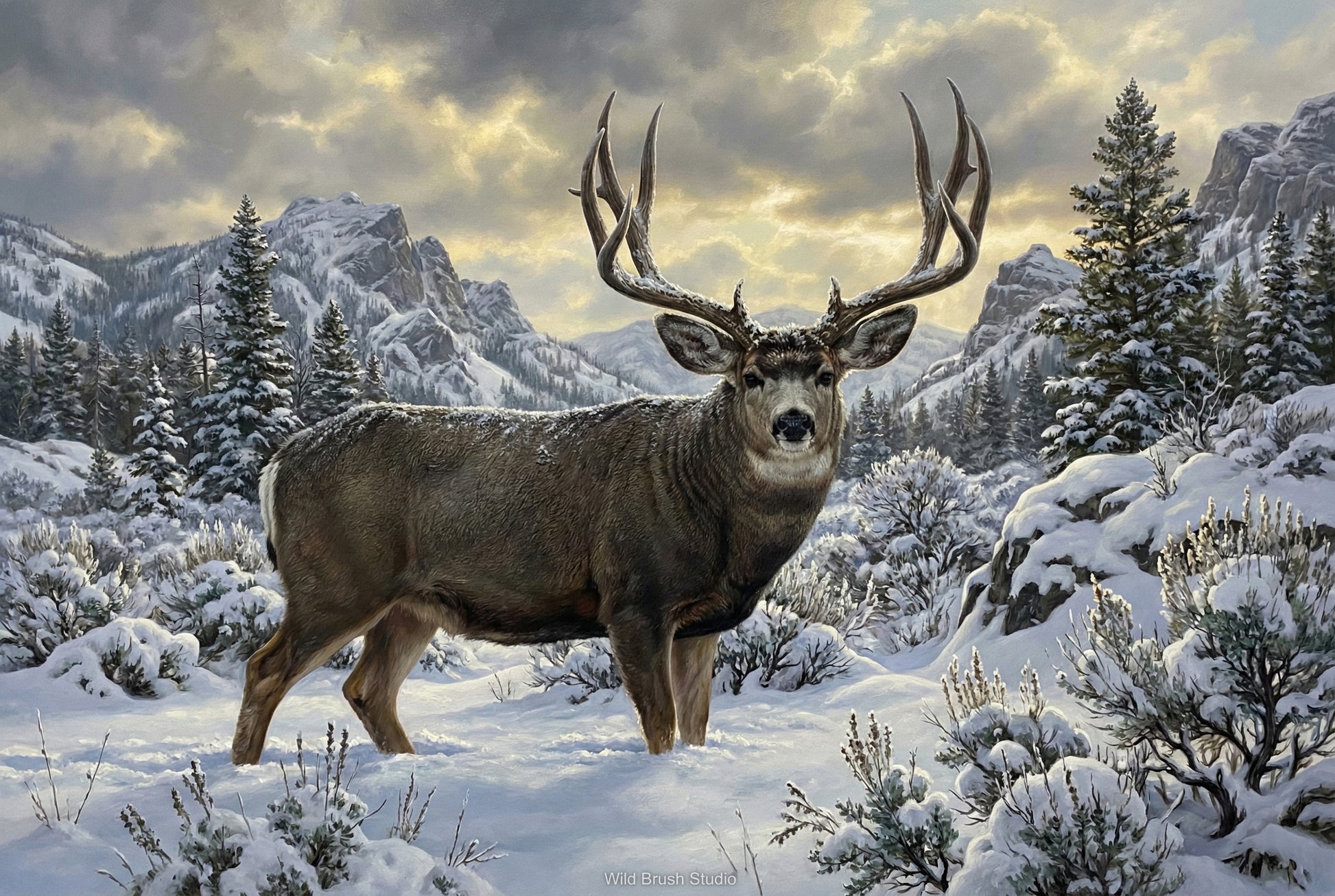 deep snow mule deer buck surviving winter oil painting paper art print