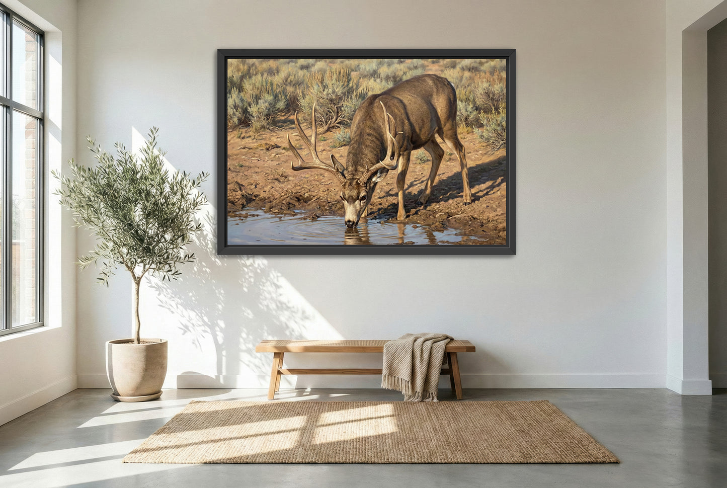 black floating framed canvas print featuring of a mule deer buck up close at the water hole