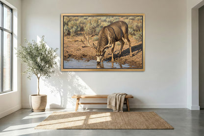 gold floating framed canvas trophy room art of a mule deer buck up close at the water hole