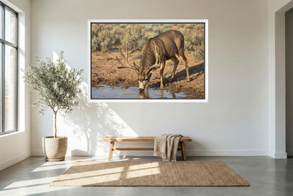 white floating framed canvas art of a mule deer buck up close at the water hole
