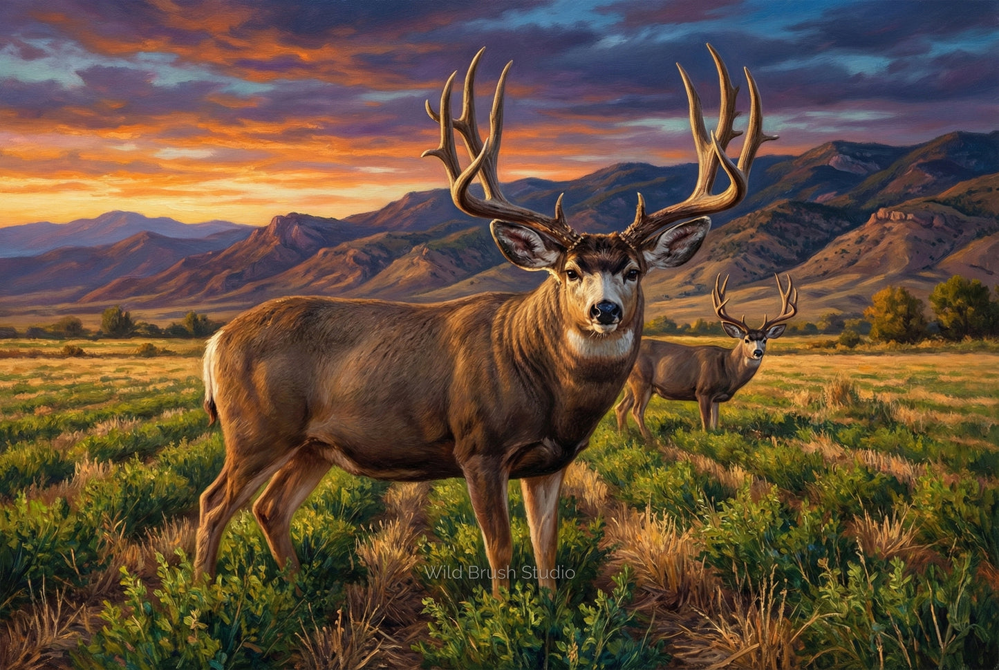 nothing like some farm fields to attract big mule deer oil painting paper art print