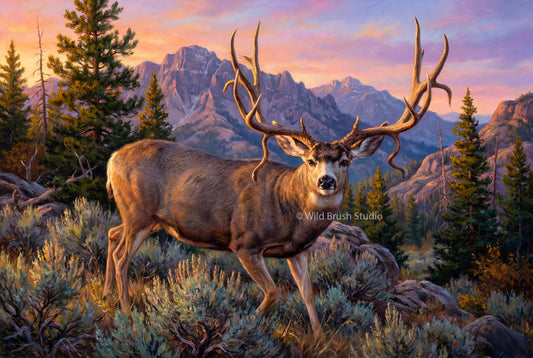 of a double drop tine mule deer buck called rabbi near camp Williams utah oil painting paper art print