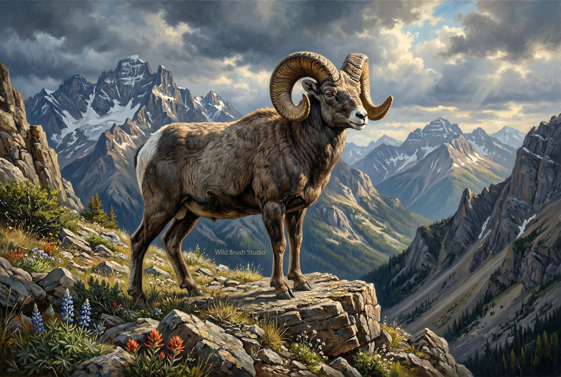 Rocky Mountain big horn sheep ram canvas oil painting paper art print