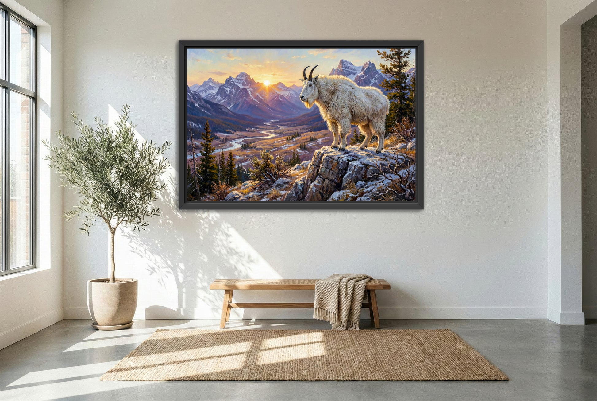 black floating framed canvas print featuring a Rocky Mountain goat