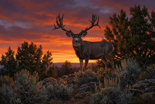 Ted Riggs legendary Arizona mule deer oil painting art print