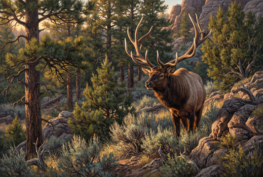 The Grandpa Bull by Nick Franklin