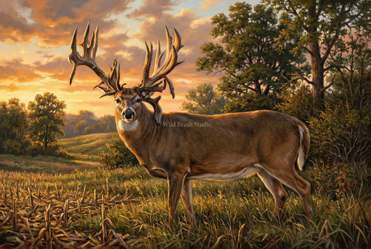 the lovstuen whitetail buck or the albia buck iowa oil painting paper art print